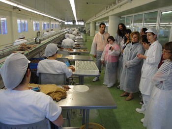 Visitamos todo el proceso de la conserva de la anchoa.